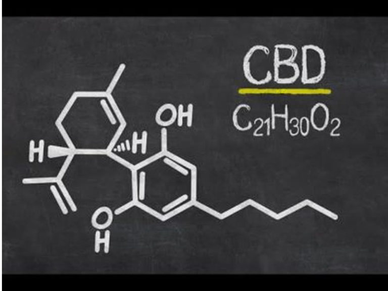 What’s The Difference Between CBD and THC?
