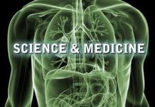 The 6 Most Effective Cannabinoids hemp-industries-science-and-medicine