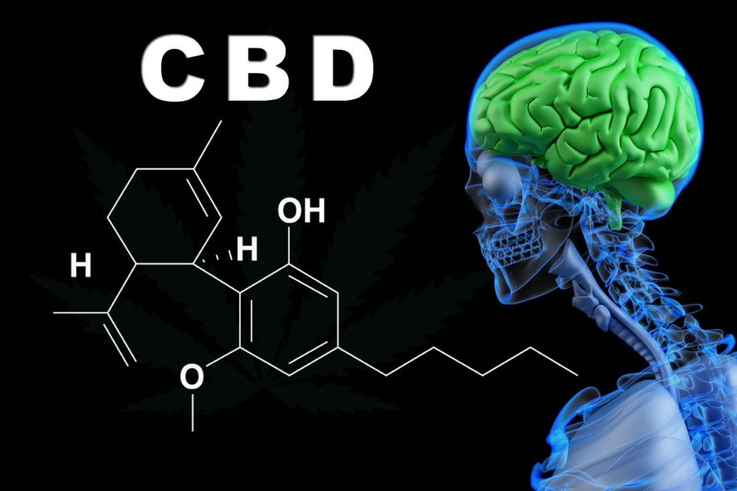 CBD News and Science