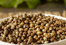 The Health of Hemp Seeds The health of hemp seeds