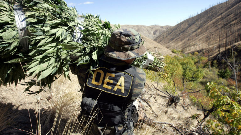 Cannabis drug gets FDA approval that hopefully will change federal regulations