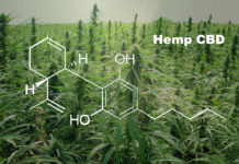 Unilever’s Schmidt’s Naturals to launch hemp-oil deodorants in September Hemp for CBD production