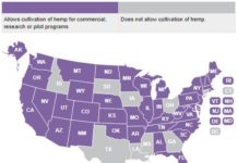 STATE INDUSTRIAL HEMP STATUTES – All States Hemp Statutes by State