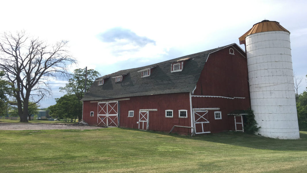 Farming Hemp in Michigan