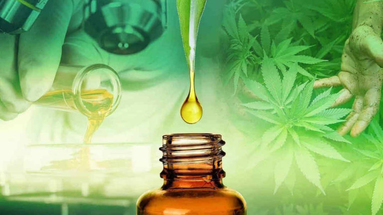 Family Video Stores all in on hemp products in Michigan