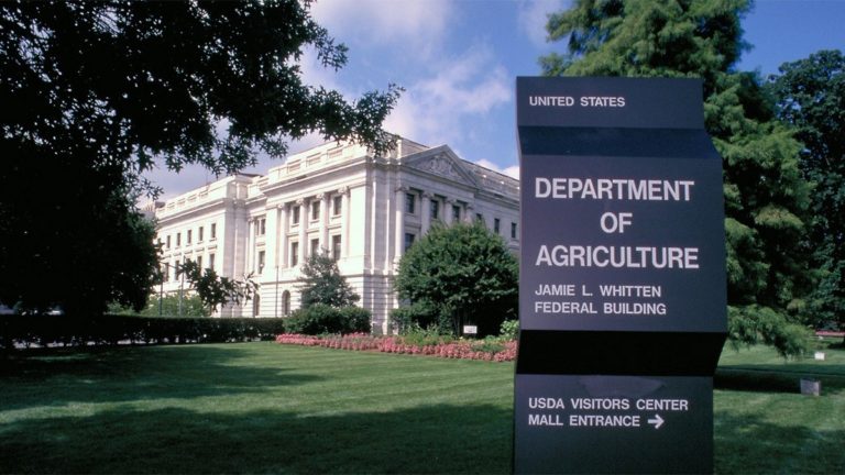 States abandon federal hemp oversight before USDA rolls out bare-bones application