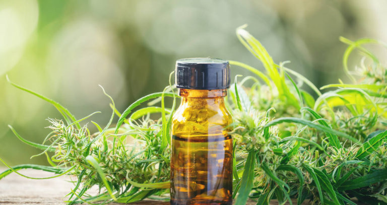 Industrial hemp processor to open facility creating 30 jobs
