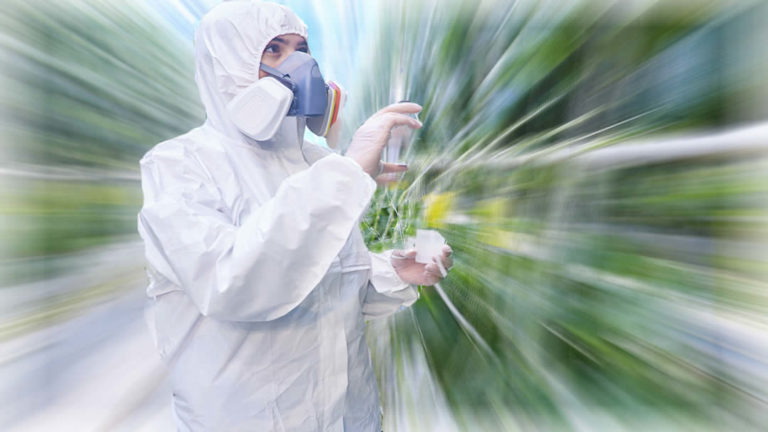 Texas crime labs to begin THC testing to identify hemp vs. marijuana