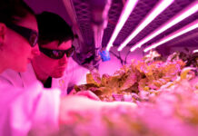 Hemp Drop Off Procedure for Testing Because it's fn science