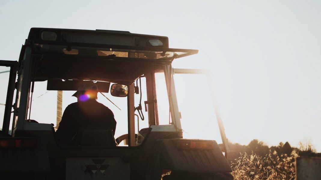 Hemp Farming