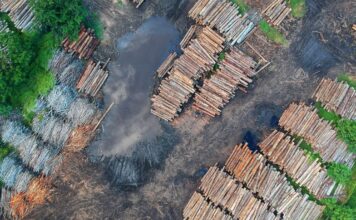 National Concern Is Growing for The Carbon Emitted by The Construction Industry Lumber prices skyrocket look to hempcrete